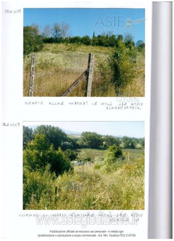 terreno agricolo in vendita a Segni