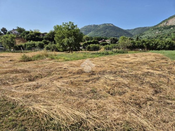 terreno agricolo in vendita a Segni