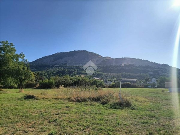 terreno agricolo in vendita a Segni