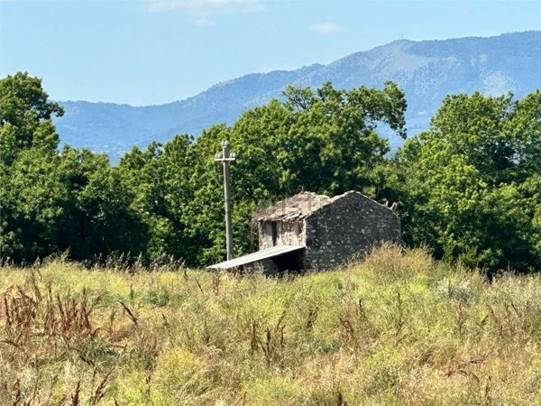 quadrivano in vendita a Segni