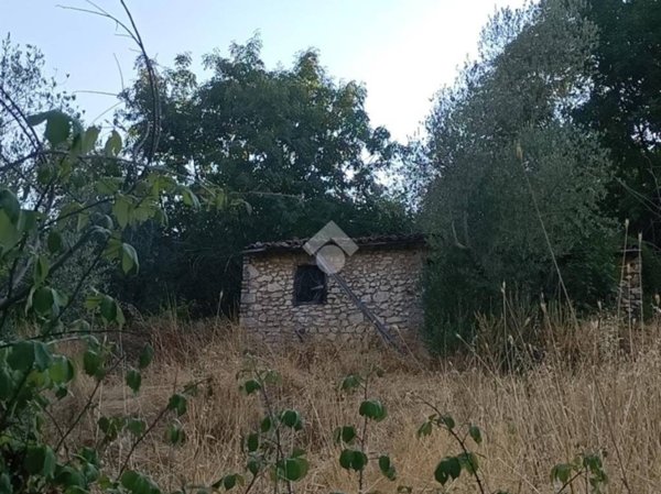 terreno agricolo in vendita a Segni