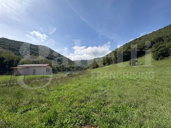terreno agricolo in vendita a Segni