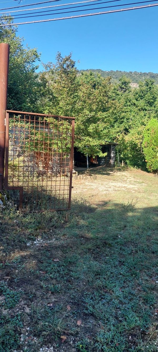 terreno agricolo in vendita a Segni