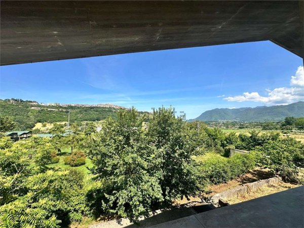 terreno agricolo in vendita a Segni