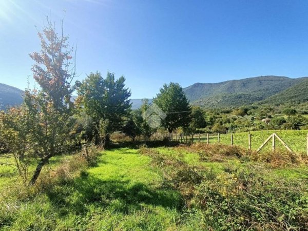 terreno agricolo in vendita a Segni