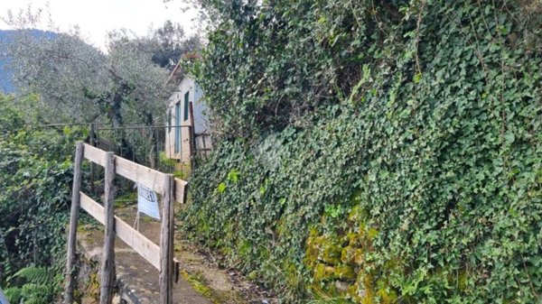 terreno agricolo in vendita a Segni