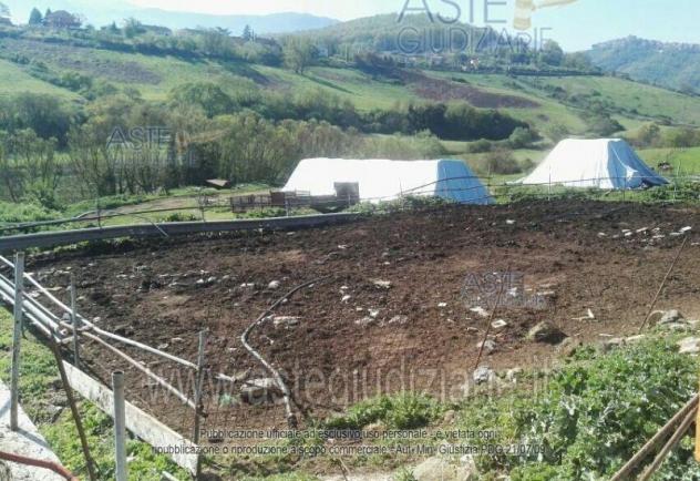 terreno edificabile in vendita a Segni