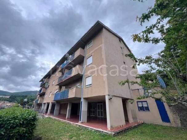 appartamento in vendita a Segni