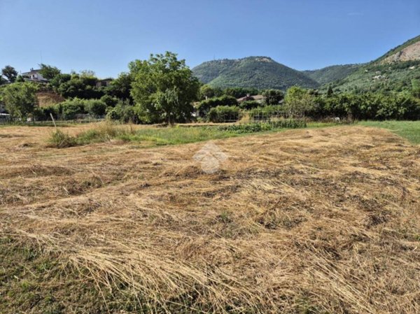 terreno agricolo in vendita a Segni