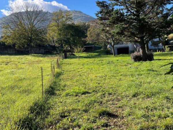 terreno agricolo in vendita a Segni