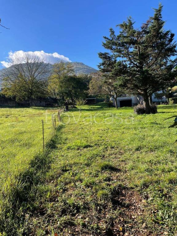 terreno agricolo in vendita a Segni