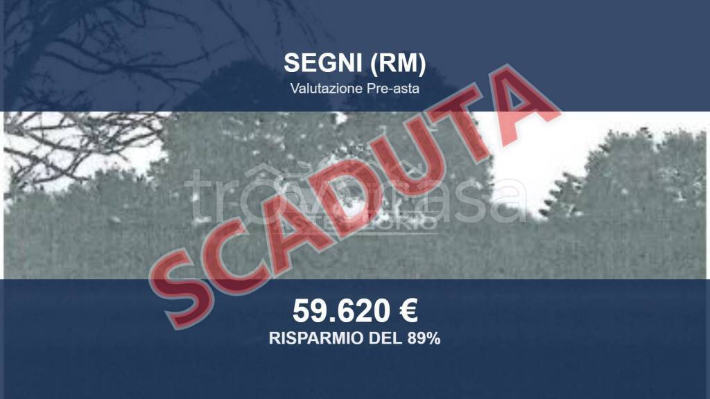 terreno agricolo in vendita a Segni