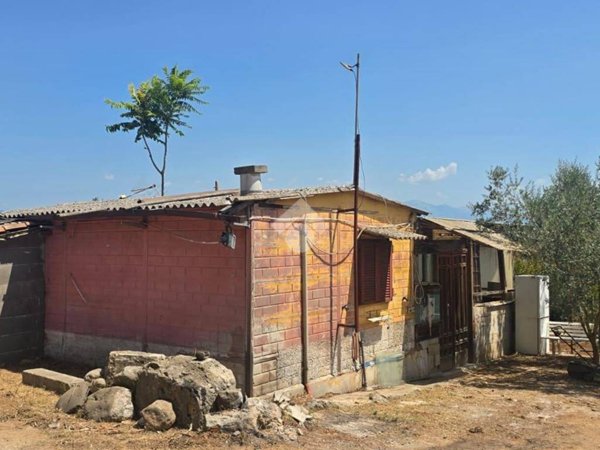 terreno agricolo in vendita a Segni
