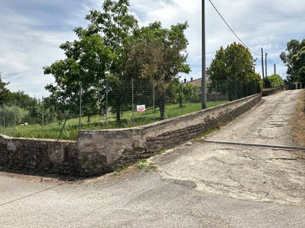 terreno agricolo in vendita a Segni
