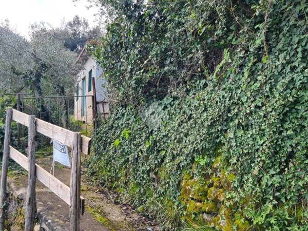 terreno in vendita a Segni
