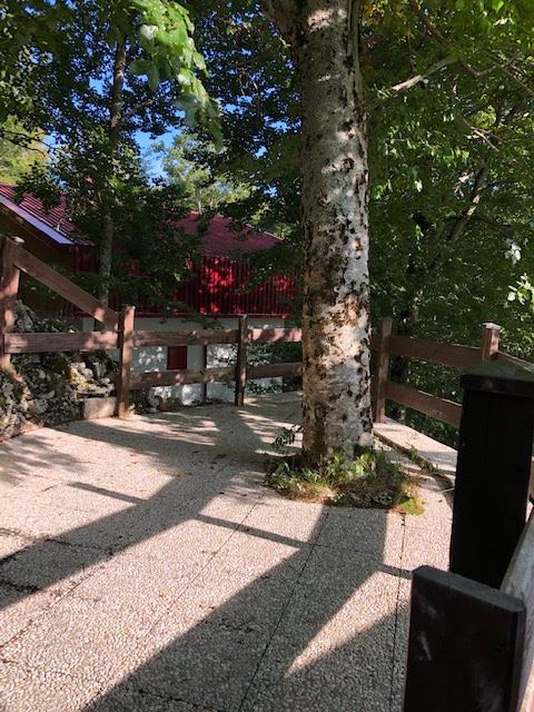 appartamento in vendita a Subiaco