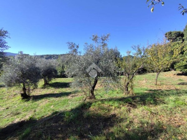 appartamento in vendita a Subiaco