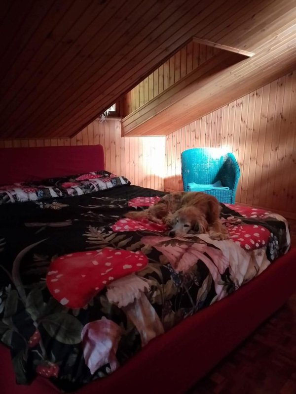 casa indipendente in vendita a Subiaco