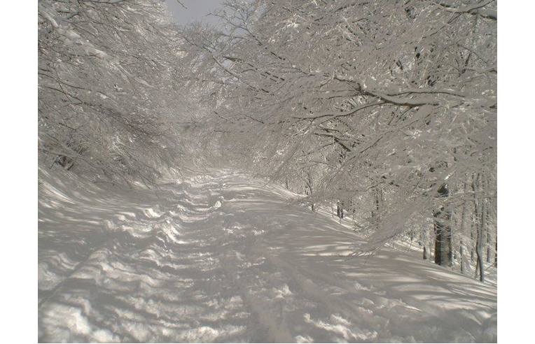appartamento in vendita a Subiaco
