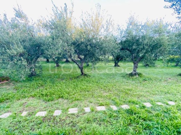 terreno agricolo in vendita a Tivoli