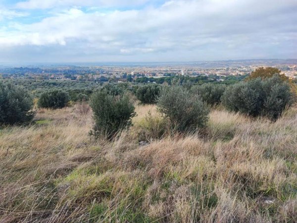 terreno agricolo in vendita a Tivoli in zona Villaggio Adriano