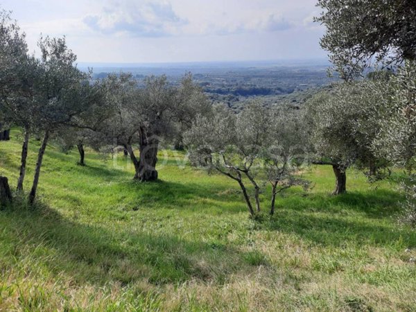 terreno agricolo in vendita a Tivoli