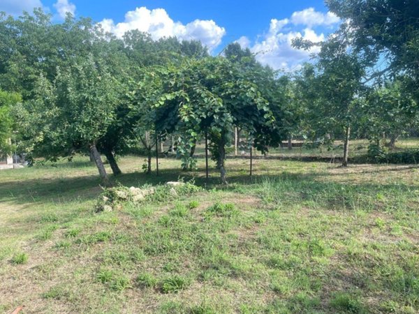 terreno agricolo in vendita a Tivoli