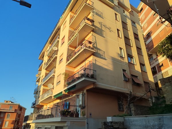 appartamento in vendita a Tivoli