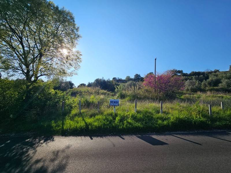 terreno agricolo in vendita a Tivoli in zona Favale