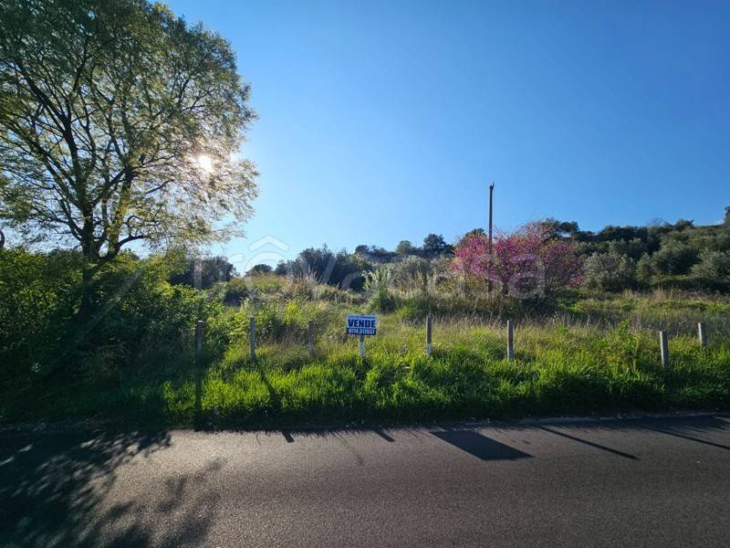 terreno agricolo in vendita a Tivoli