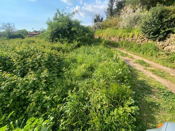 terreno agricolo in vendita a Tivoli in zona Villa Adriana