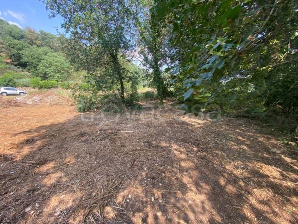 terreno agricolo in vendita a Tivoli
