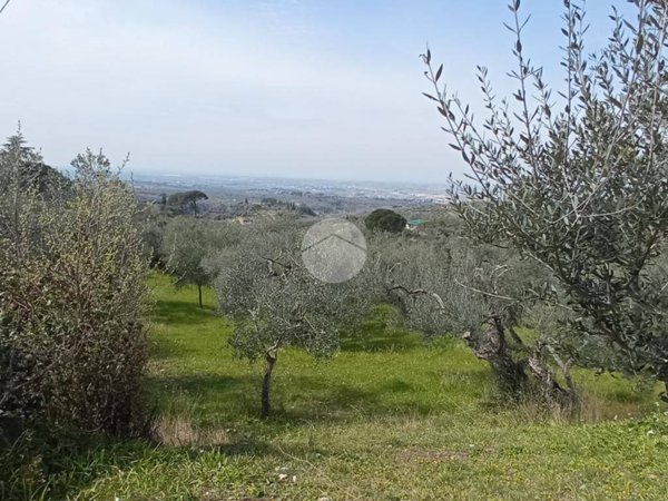 terreno agricolo in vendita a Tivoli