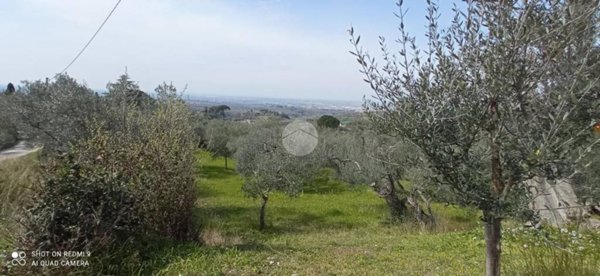 azienda agricola in vendita a Tivoli
