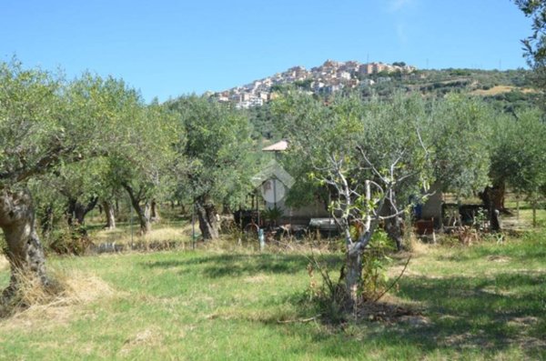 terreno agricolo in vendita a Tivoli