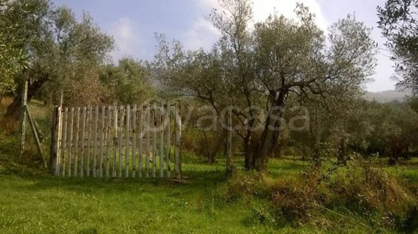 terreno agricolo in vendita a Tivoli