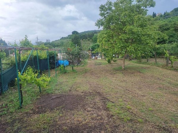 terreno agricolo in vendita a Tivoli