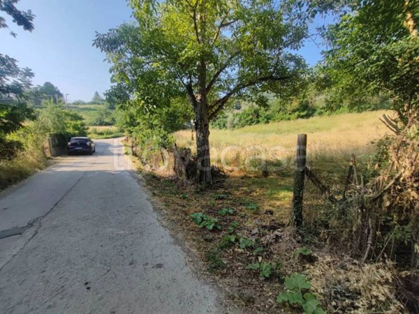 terreno agricolo in vendita a Tivoli