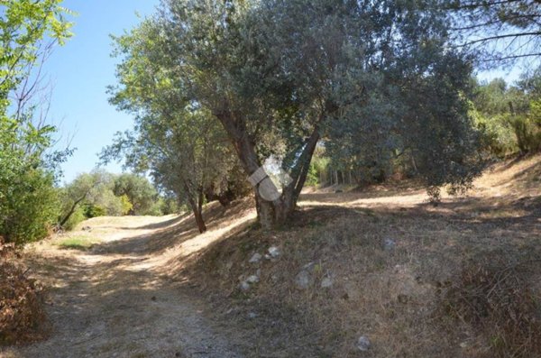 terreno agricolo in vendita a Tivoli