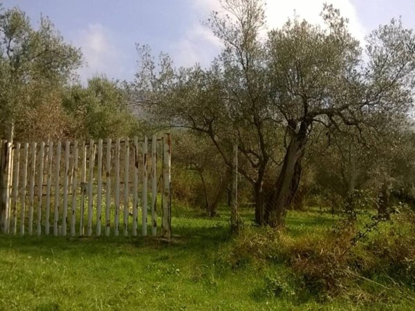 terreno agricolo in vendita a Tivoli