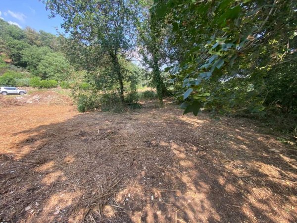 terreno agricolo in vendita a Tivoli in zona Villaggio Adriano