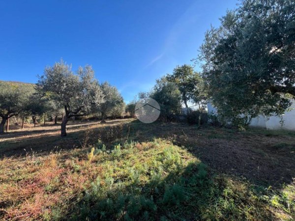 terreno agricolo in vendita a Tivoli