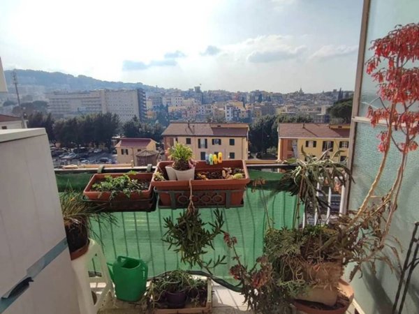 appartamento in vendita a Tivoli