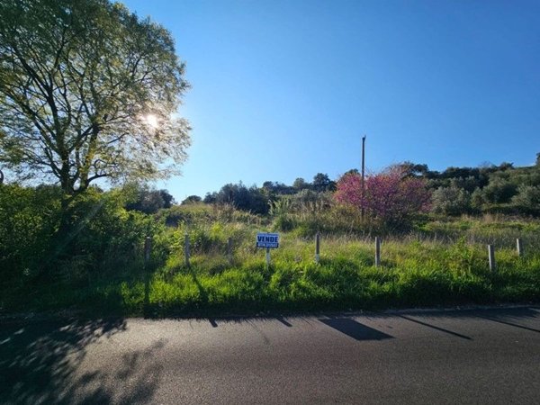 terreno agricolo in vendita a Tivoli