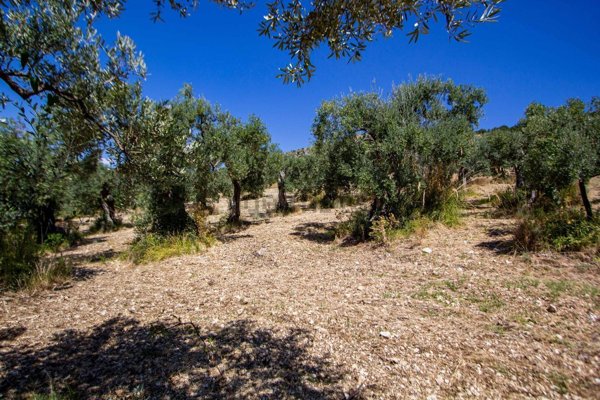 casa indipendente in vendita a Tivoli