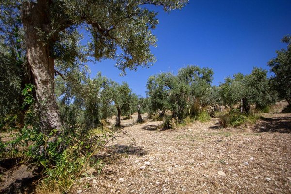 casa indipendente in vendita a Tivoli