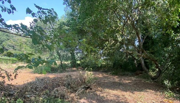 terreno agricolo in vendita a Tivoli