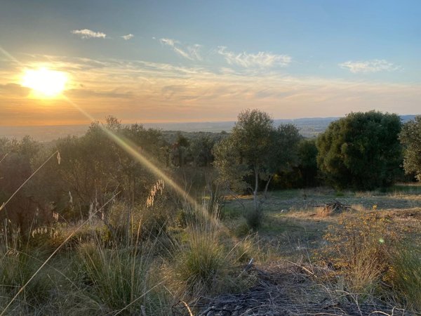 terreno agricolo in vendita a Tivoli