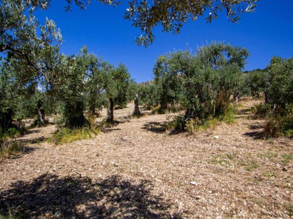 terreno agricolo in vendita a Tivoli