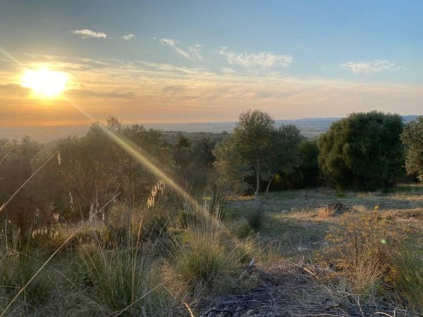 terreno agricolo in vendita a Tivoli in zona Favale